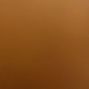 Meet your Posher, Aaliyah